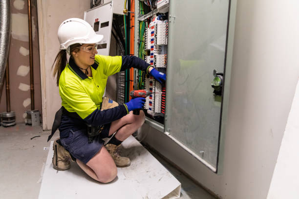 Best Electrician for Home Renovation  in Vla Park, IL