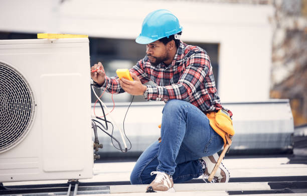 Best Affordable Electrician  in Vla Park, IL