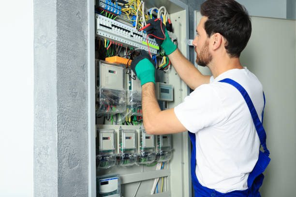 Best Electric Panel Repair  in Vla Park, IL