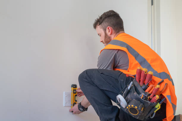 Best Local Electrician Companies  in Vla Park, IL